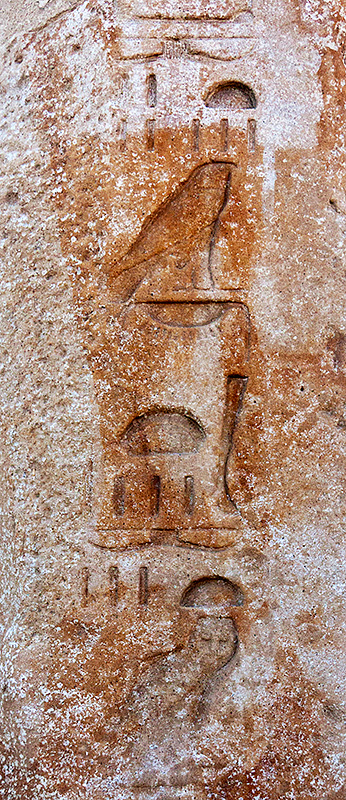 Owl and Bird Hieroglyphic 1