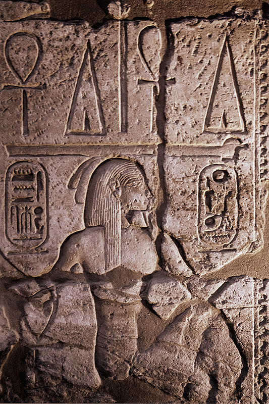 Female Portrait Hieroglyphic