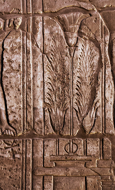 Leaf Design Hieroglyphic