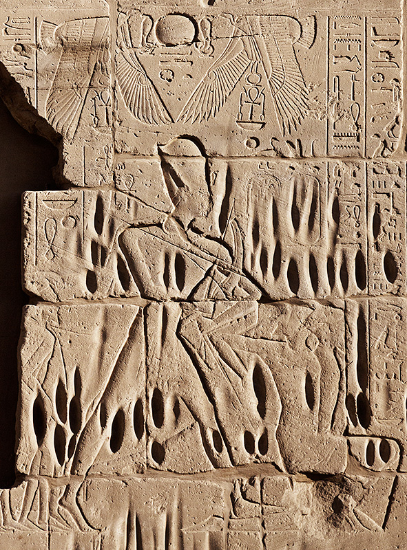 Ramses Treaty Detail