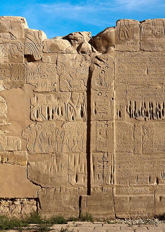 Ramses Treaty Wall Detail