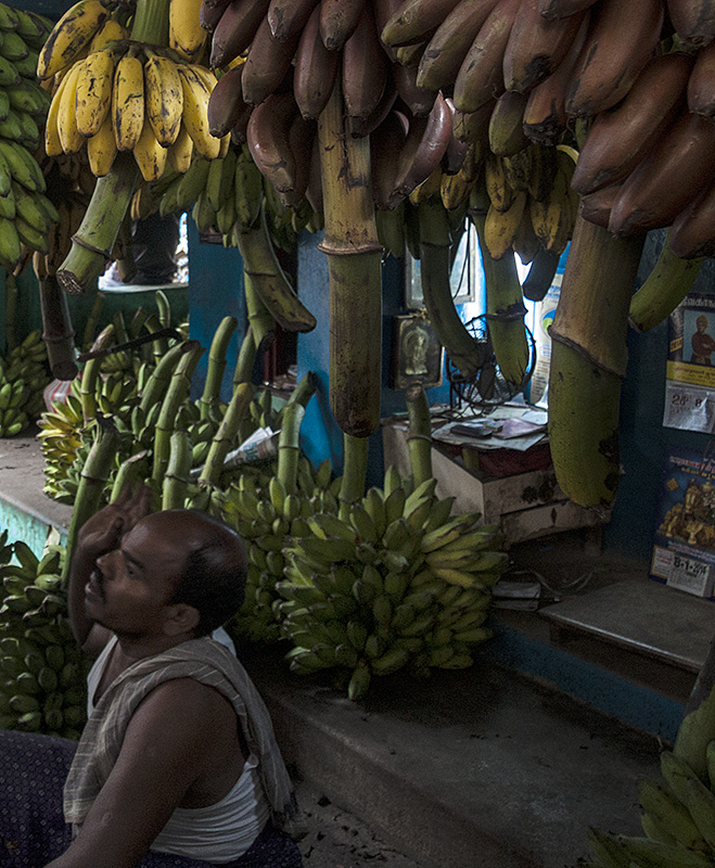 Banana Market 1