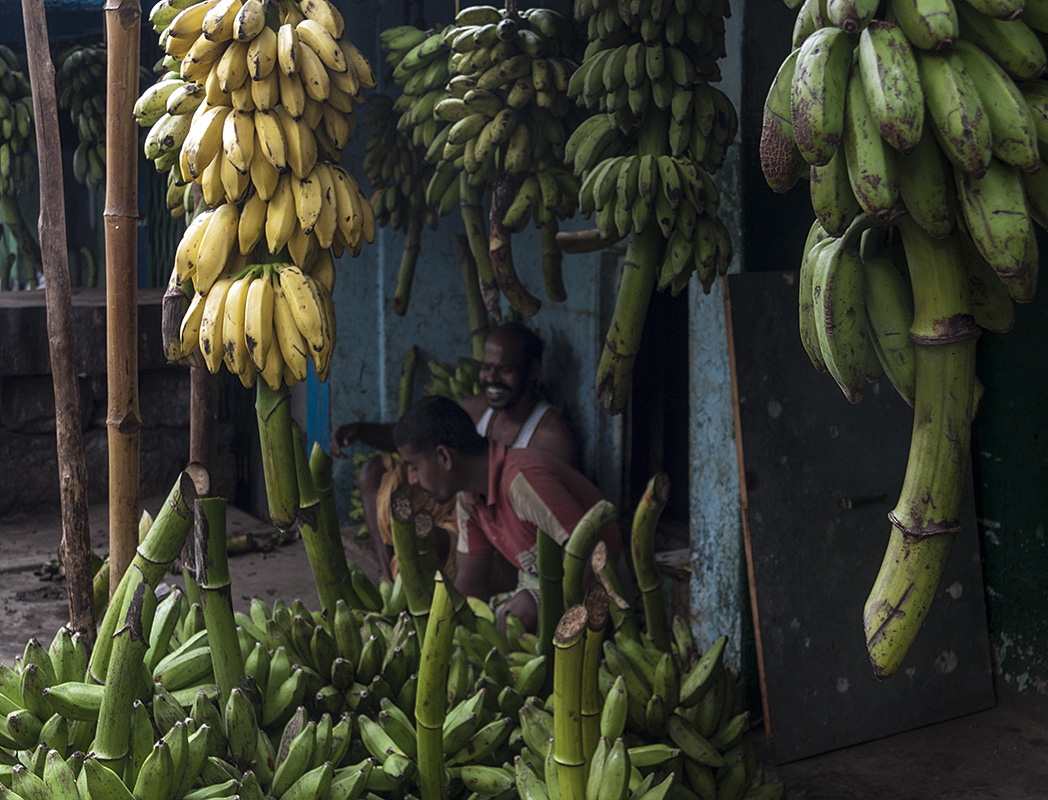 Banana Market 3