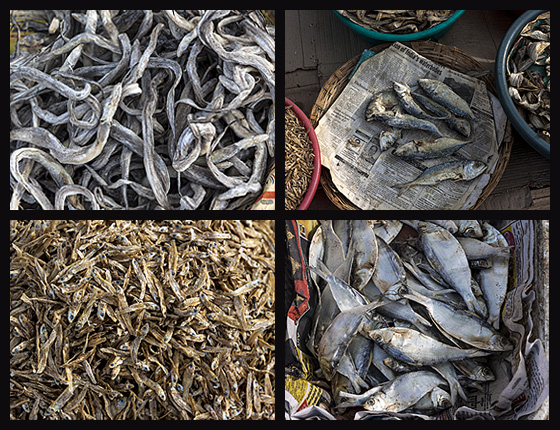 Montage :: Varieties of Dried Fish