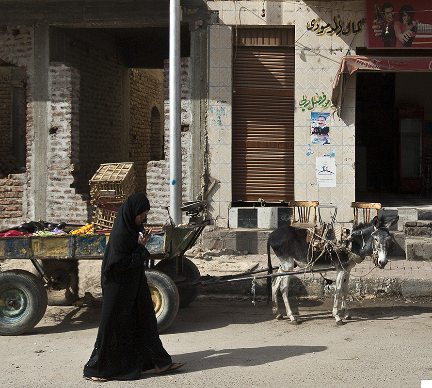 Luxor :: Donkey Cart