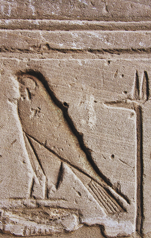 Bird Hieroglyphic