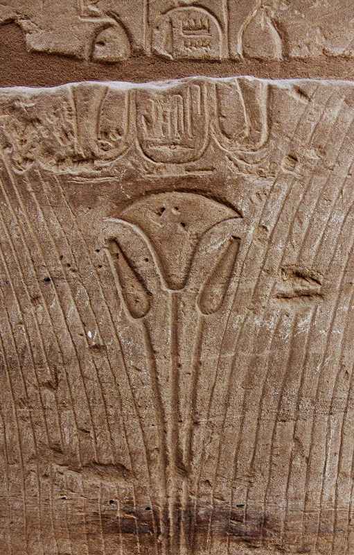 Flower Hieroglyphic