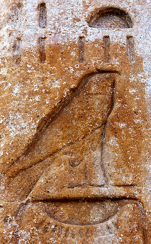 Bird Detail