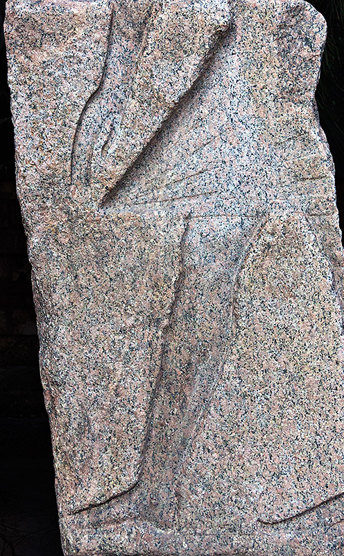 Leg
