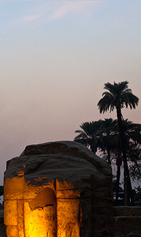 Column and Palm