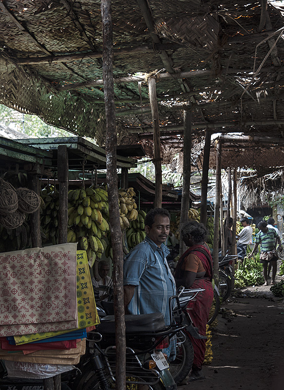 Banana Market 5