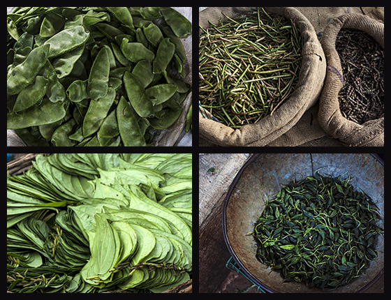 Montage :: Beans, Curry Leaves, and Okra