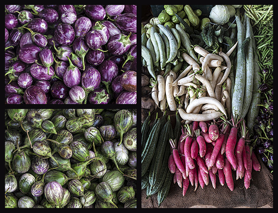 Montage :: Aubergines, Radishes and Mixed Vegetables