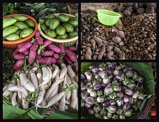 Montage :: Aubergines, Radishes, Potatoes and Mixed Vegetables