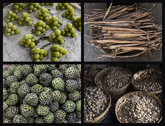 Montage :: Gooseberries, Custard Fruit, Turmeric, and Garlic