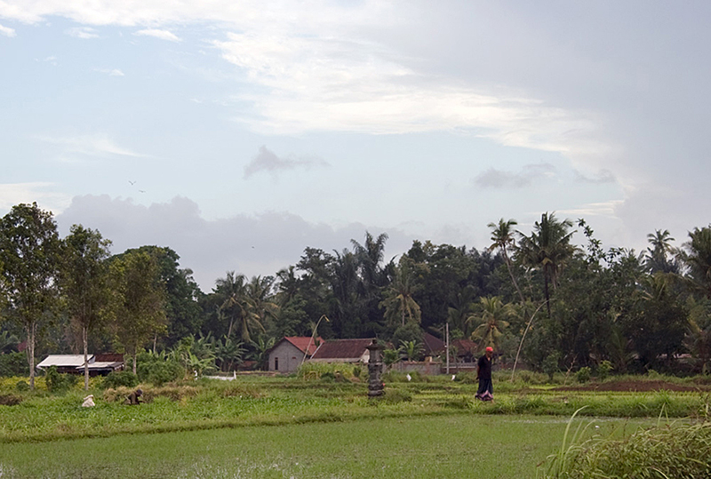 Field Altar