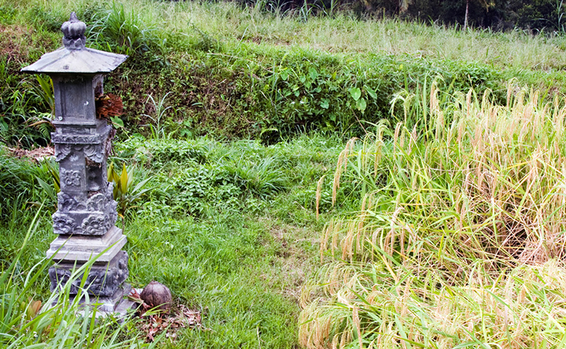 Field altar with offerings for a good crop