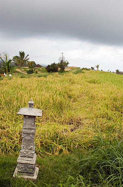 Altars in the Fields