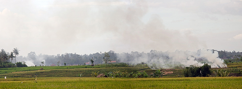 Burning the Straw