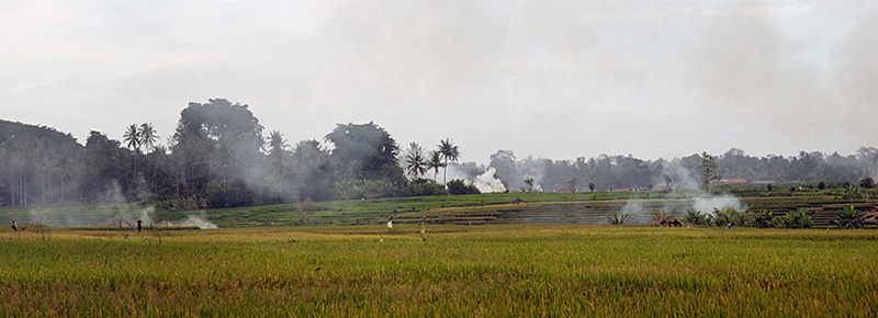 Burning the Straw