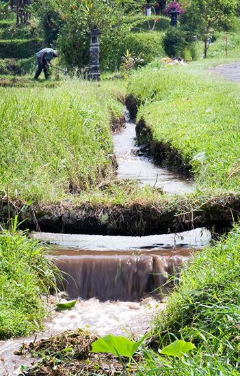 The Canals