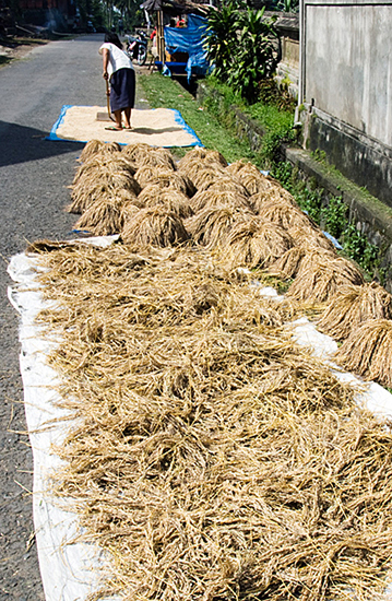 Drying on the Roads