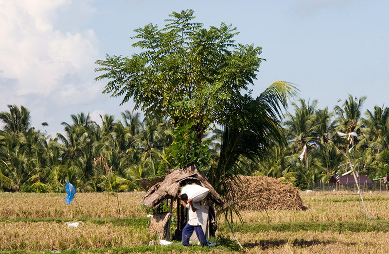 Hauling the bags 