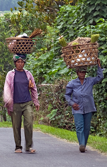 Carrying from the High fields