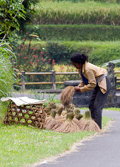 Carrying from the High fields