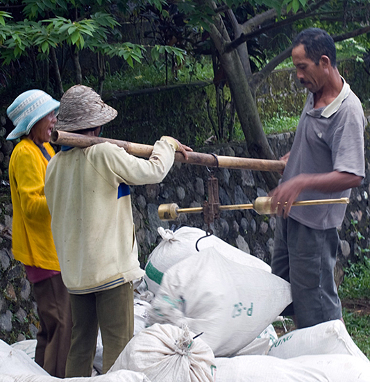 Weighing the Rice