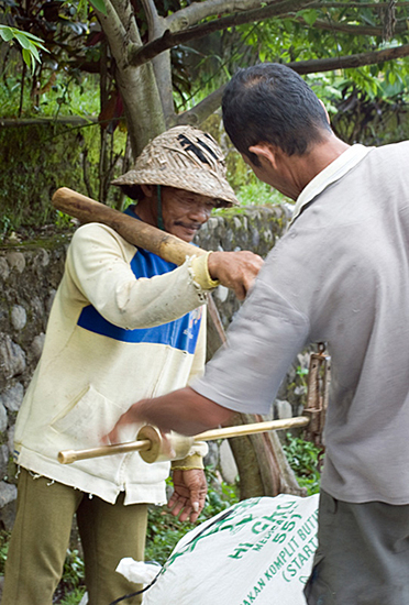 Weighing the Rice