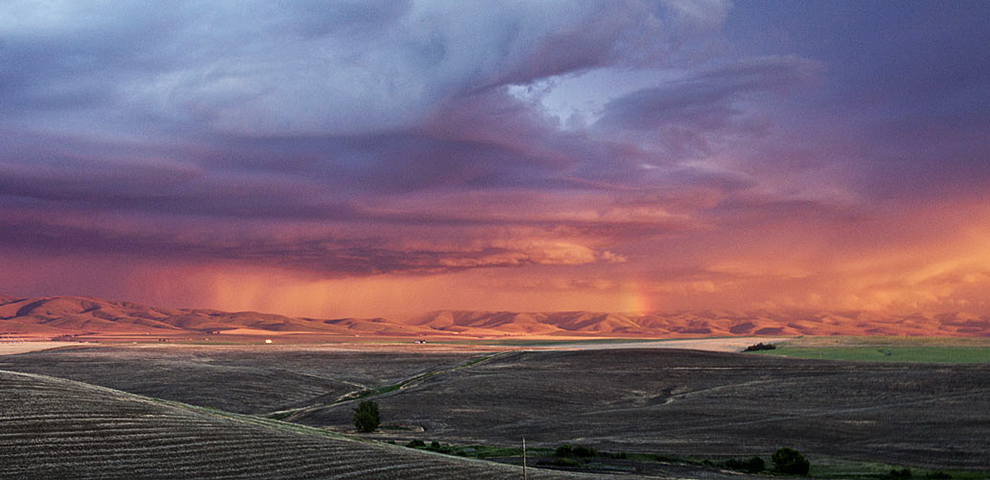 Thunderstorm, Pendleton-Waiting to Fly