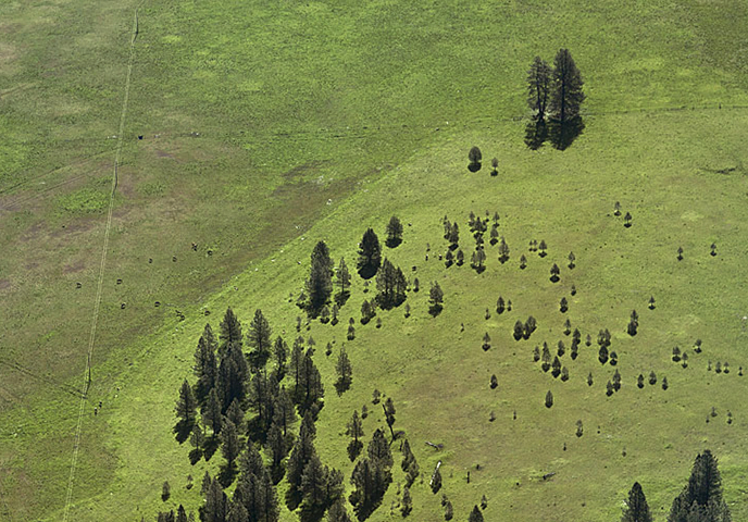 Eastern Oregon 81