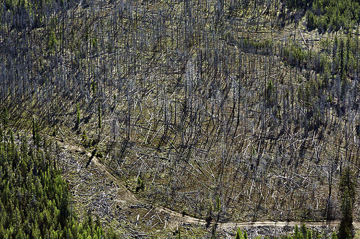 Eastern Oregon 78