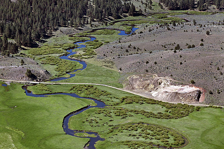 The Silvies River-Wildlife Corridor