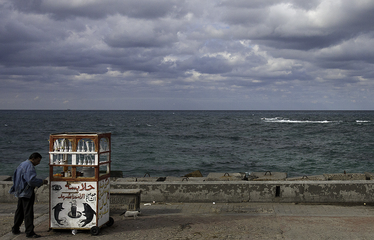 The Port of Alexandria