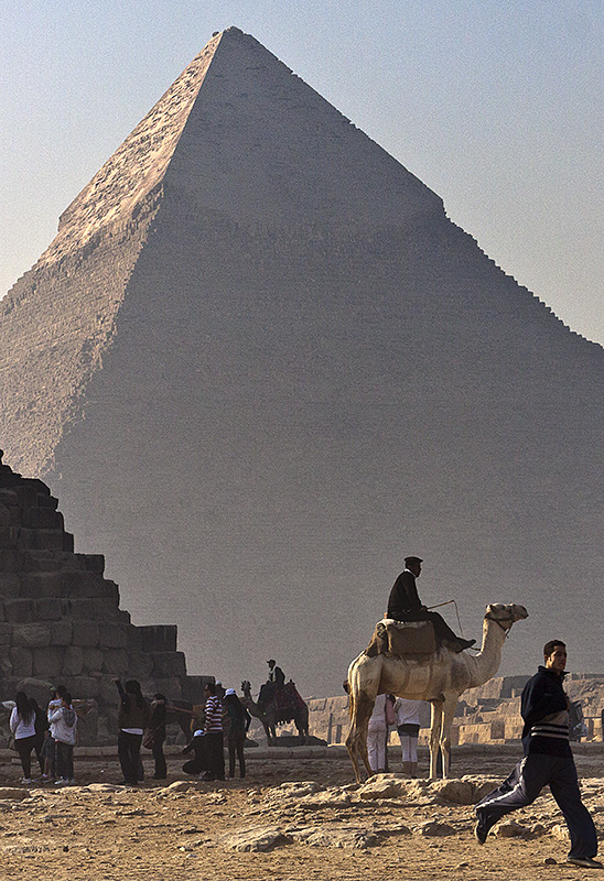 Giza Pyramids Camel Security