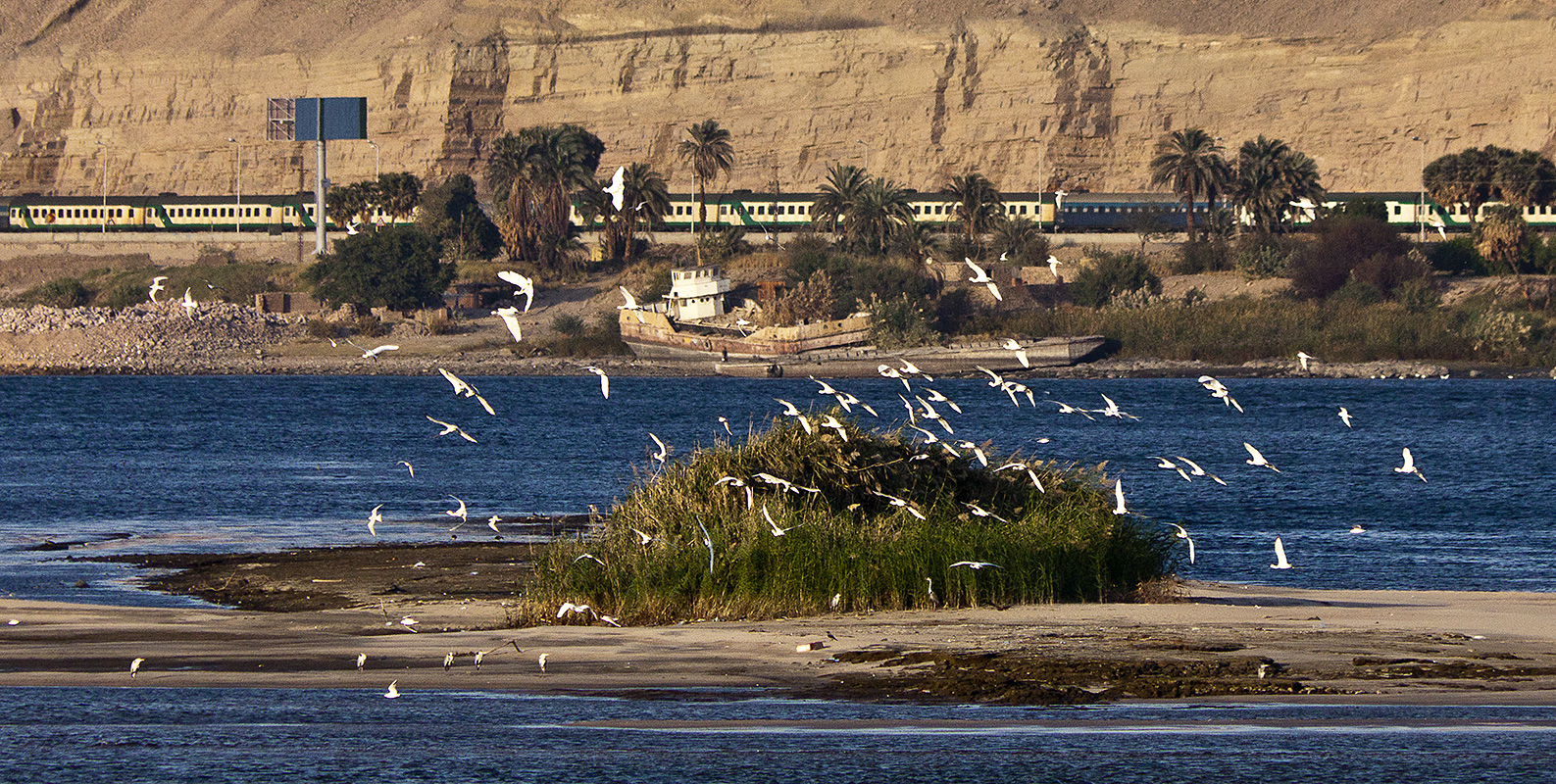 The Nile with Aswan Train