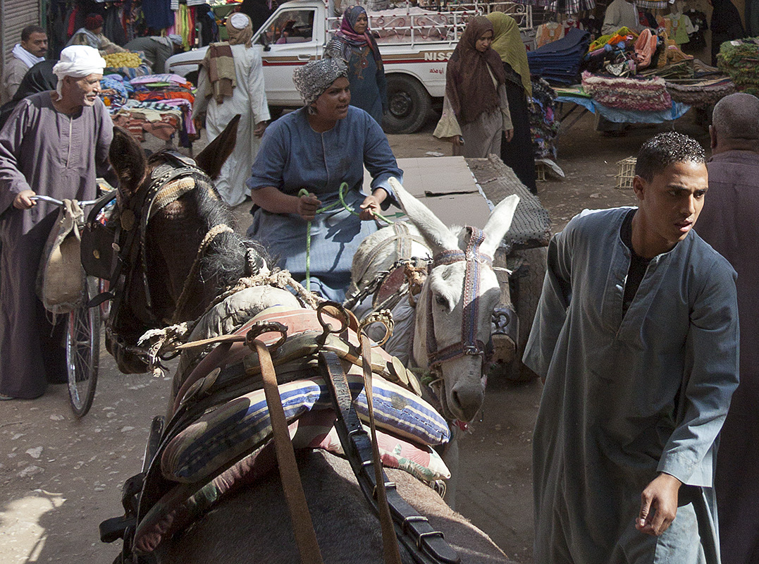 Luxor :: Market Deliveries