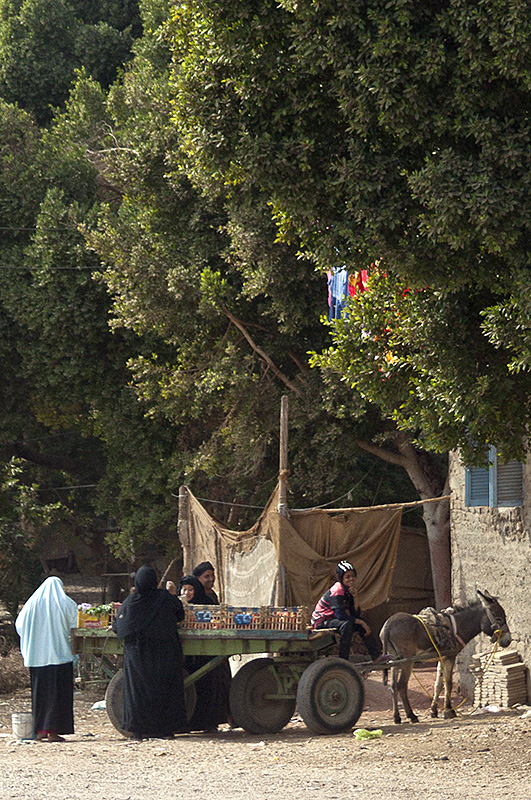 Luxor :: Family with Cart