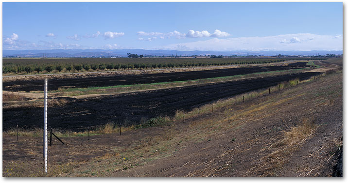 September - After the Harvest-Burning the Straw