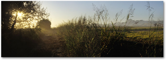 October - Harvest