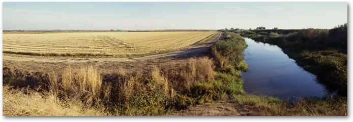 October - Harvest