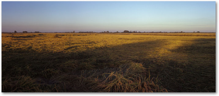 October - Harvest