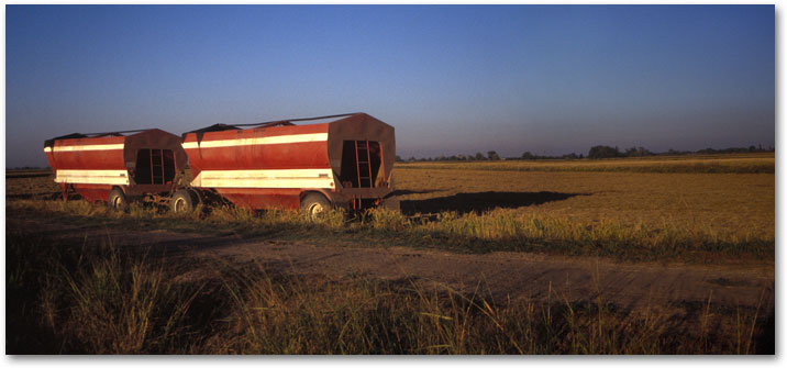 October - Transport Trucks