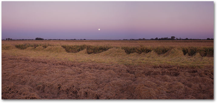 October - Harvest