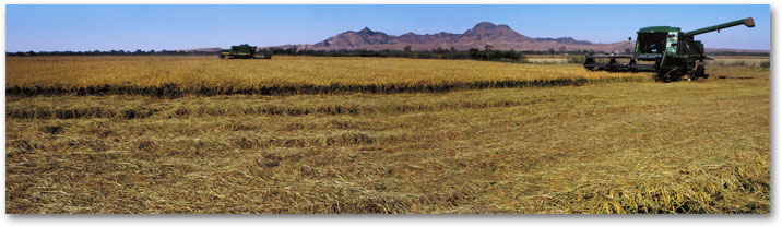 October - Harvest