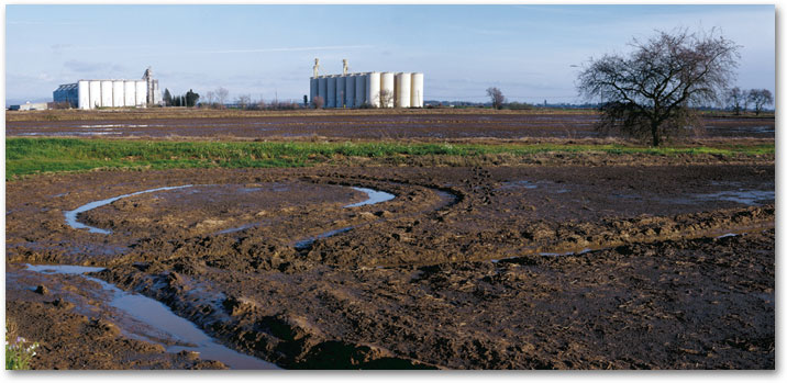 FEBRUARY in the rice fields.  Large drying plants for the rice across the fields