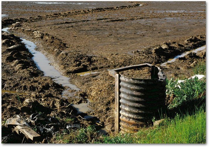 FEBRUARY  Drain