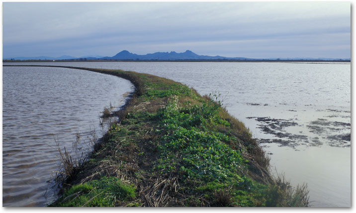 JANUARY - View across the contours